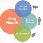 OneHealth