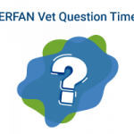 ERFAN_INNOVATIONS_QUESTION_TIME