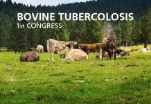 BOVINE TUBERCULOSIS 1° Congress – Torre del Greco, 9-11 April 2024